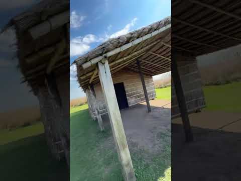 Iberá portalcarambola-Concepción Corrientes.