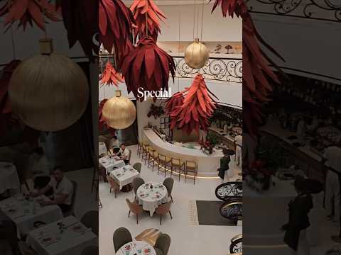 [상파울루 맛집] 상파울루에서 파리를 느끼고 싶다면? Leila Restaurant 🇧🇷 🇫🇷 l Want to Feel Paris in São Paulo?