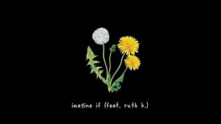 gnash - imagine if ft. ruth b. (lyric video)