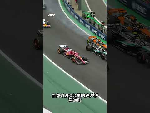 这就是为什么说，就算白送你一辆F1，你也开不走的原因。 #赛车 #F1 #f1赛车手