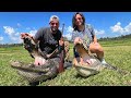 Hunting Down ANGRY Overpopulated Alligators