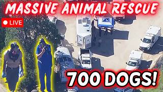 🔴 700 DOGS & CATS! Massive Animal Rescue Operation Underway in Los Angeles County