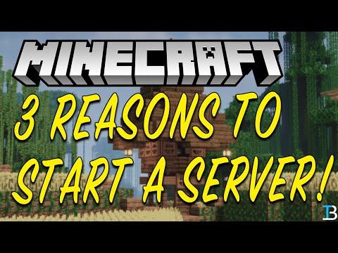 3 Reasons You Should Start a Minecraft Server