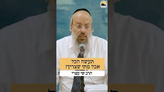 אישיות מגוונת ᴴᴰ (הרב שי עטרי) - התמונה מוצגת ישירות מתוך אתר האינטרנט יוטיוב. זכויות היוצרים בתמונה שייכות ליוצרה. קישור קרדיט למקור התוכן נמצא בתוך דף הסרטון