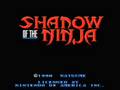 Shadow Of The Ninja Stage 3 Nintendo