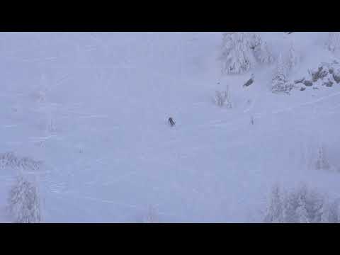 BIB 18 - Verbier Freeride Week Juniors 2* by Dynastar