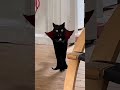 Meow Tastic Transformation Into Vampire