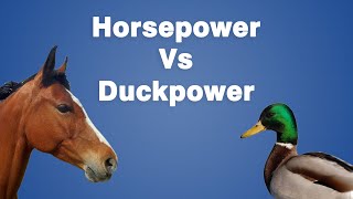 Horsepower Vs Duckpower