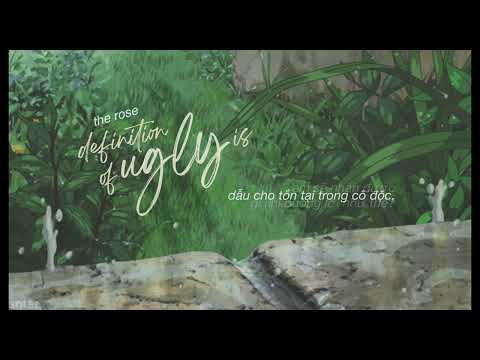 ☆彡 vietsub | «definition of ugly is» by the rose
