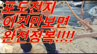 누구나 알기쉬운 겨울 포도나무 전지 가지치기 실전포도농사
