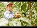 The Difference That Fairtrade Makes