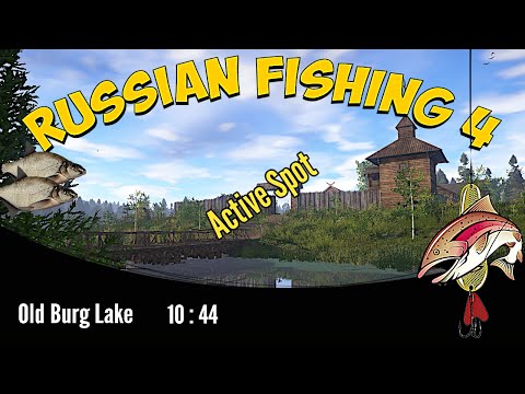 Russian fishing 4 - old burg lake - bream
