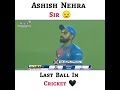 Cricket Humanity Ground Humanity Status Humanity WhatsApp Status