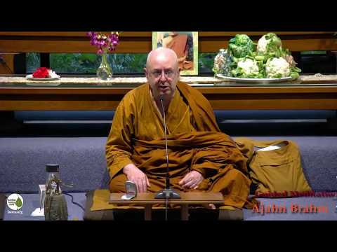 A buddhist monk in brown robes with a shaved head sits cross legged in front of flowers, and greenery