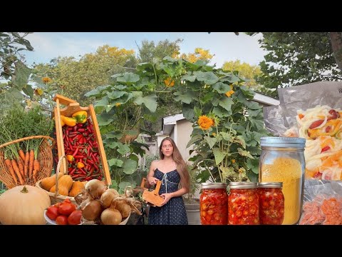 Harvesting & Preserving Food From My Backyard Homestead! Canning, Freeze Drying, & Freezing! VLOG