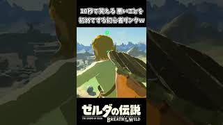10秒で笑える 悪い事を初めてする初心者リンクｗｗ【ゼルダの伝説 ブレス オブ ザ ワイルド】