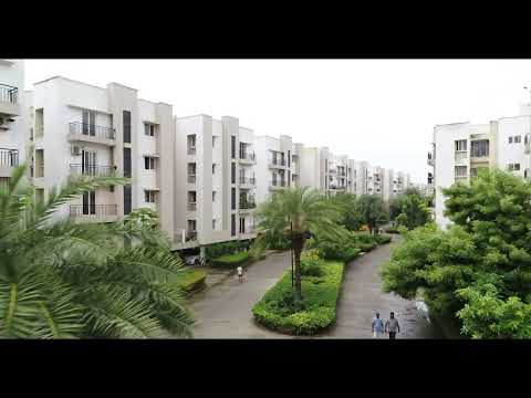 Jain Alpine Meadows Project Tour 1