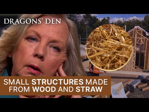 Changing The Face Of Construction One Straw House At A Time | Dragons' Den