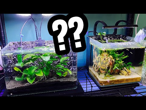 Aquarium Sand vs Gravel? What to Use?