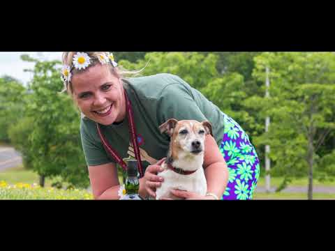 Denholm BrandBox Talent Attraction featuring The Glenmorangie Company