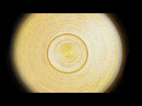 Dish Please | Motion Poster Promo