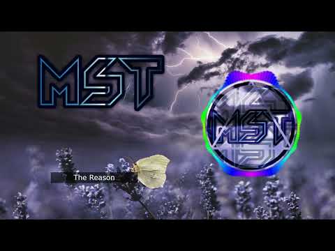 ARNHEMIA & Chasee Bell  - The Reason (Feat. Selena Sofia) [MST]