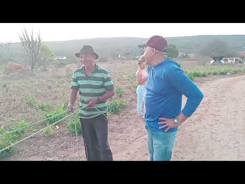 Uma grande relíquia ainda existe aqui no sítio olho. d'água damião Paraíba PB 😳