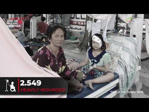 Emergency Relief for Palu Earthquake