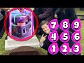 Every Elixir Counters Evo Mega Knight
