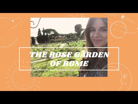 The Rose Garden of Rome