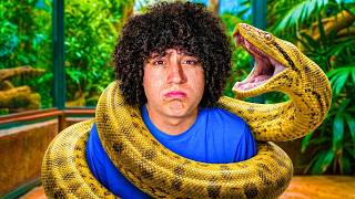 I Saved These Animals from Death