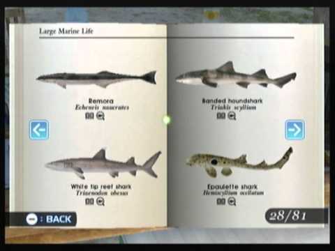 Endless Ocean 2: All Fish - Complete Book