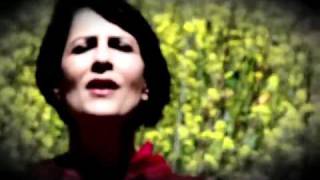 Marcella Detroit - All Is Forgiven