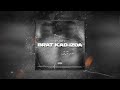 Bandza BRAT KAD IZDA Official Visualizer Ft Lena