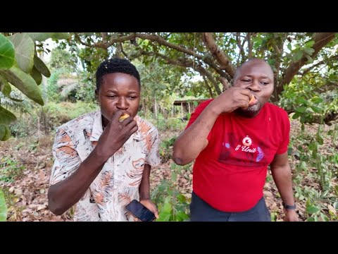 MY BROTHER & MY HUSBAND HUNTING FOR JUICY & FRESH FRUIT HARVESTING | FRESH FRUIT RECIPE...