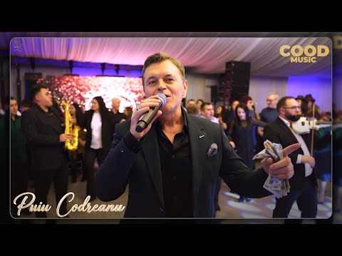 Puiu Codreanu 🔴 LIVE Evenimente 2026