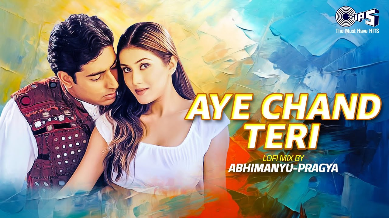 Aye Chand Teri Lofi Mix | Tera Jadoo Chal Gayaa | Sonu Nigam, Alka Yagnik | Hindi Love Song