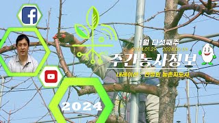 [ 주간농사정보 ] 1월 5째주 (2024. 01. 29. ~ 02. 04.)