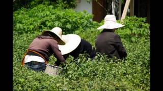 Video : China : Lovely slideshow of many places in China 中国