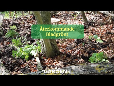 Recurring leafy greens - Garden hacks with GardenR