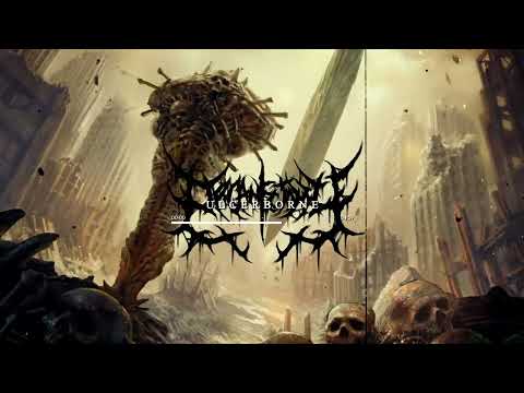 Organectomy - Ulcerborne