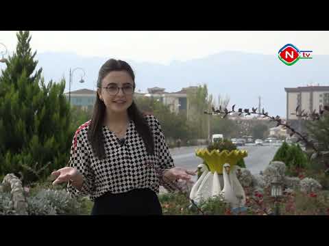 Birlikdə öyrənək - 15.10.2022