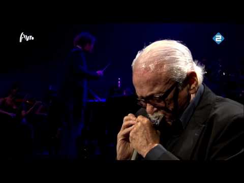 Toots Thielemans - Bluesette