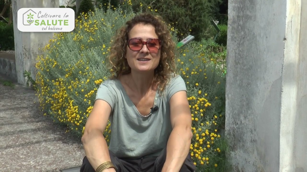 不同历史时期的药草 劳拉