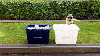 And at being an adult.  It's too bad that I'm not grown-up enough to have a dog so that I could be greener.