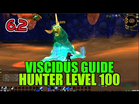 WoW Viscidus Solo Guide - Hunter Level 100 (How to Kill)