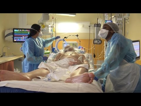 دماغ الإنسان لحظات قبل الموت