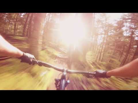 British Army//Alger WA