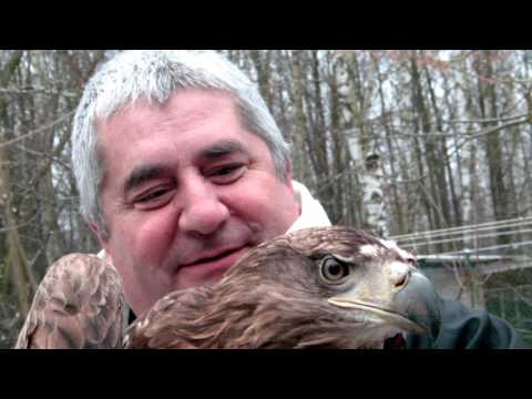 LEDNICA 2016 - Tylko Orły