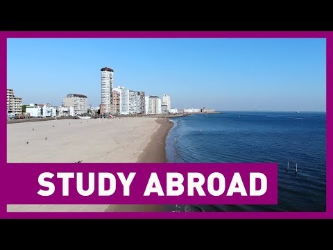 Summertime in Vlissingen | HZ Vlogs